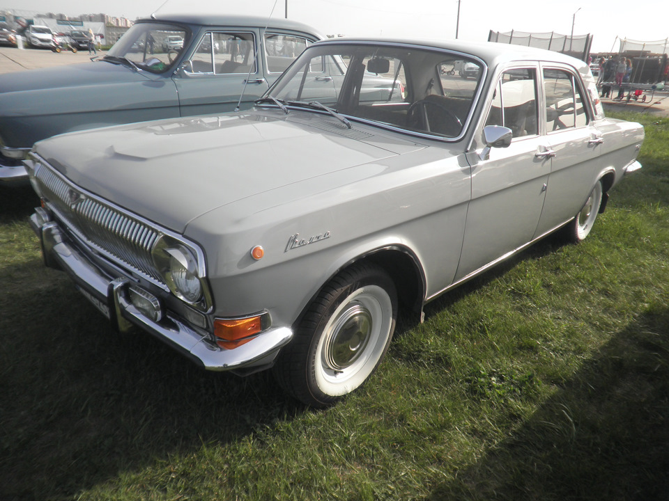 Домашні улюбленці на Old Car Land 5