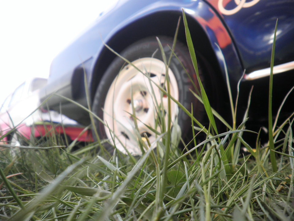 Домашні улюбленці на Old Car Land 1