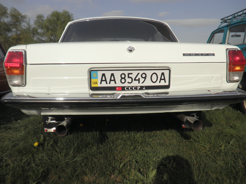Домашні улюбленці на Old Car Land 4