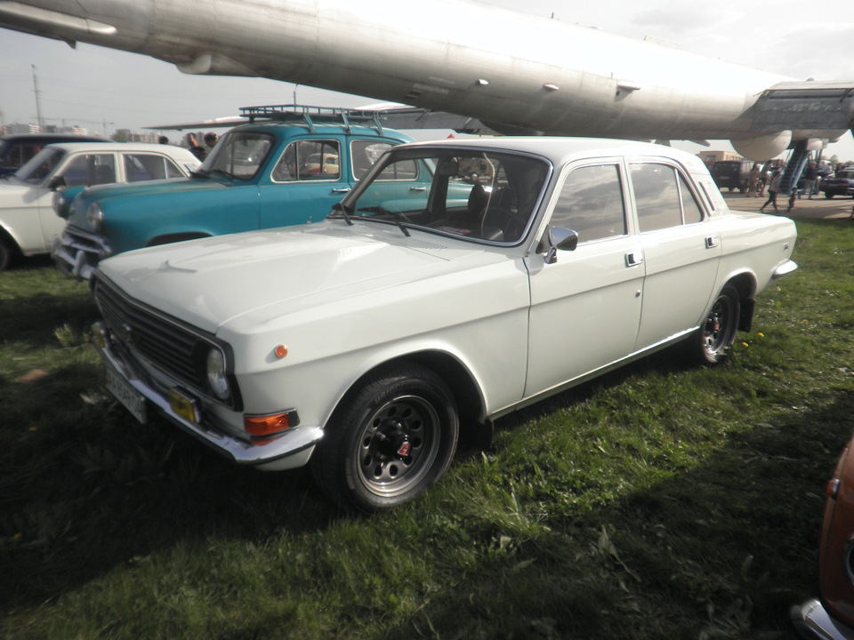Домашні улюбленці на Old Car Land 3