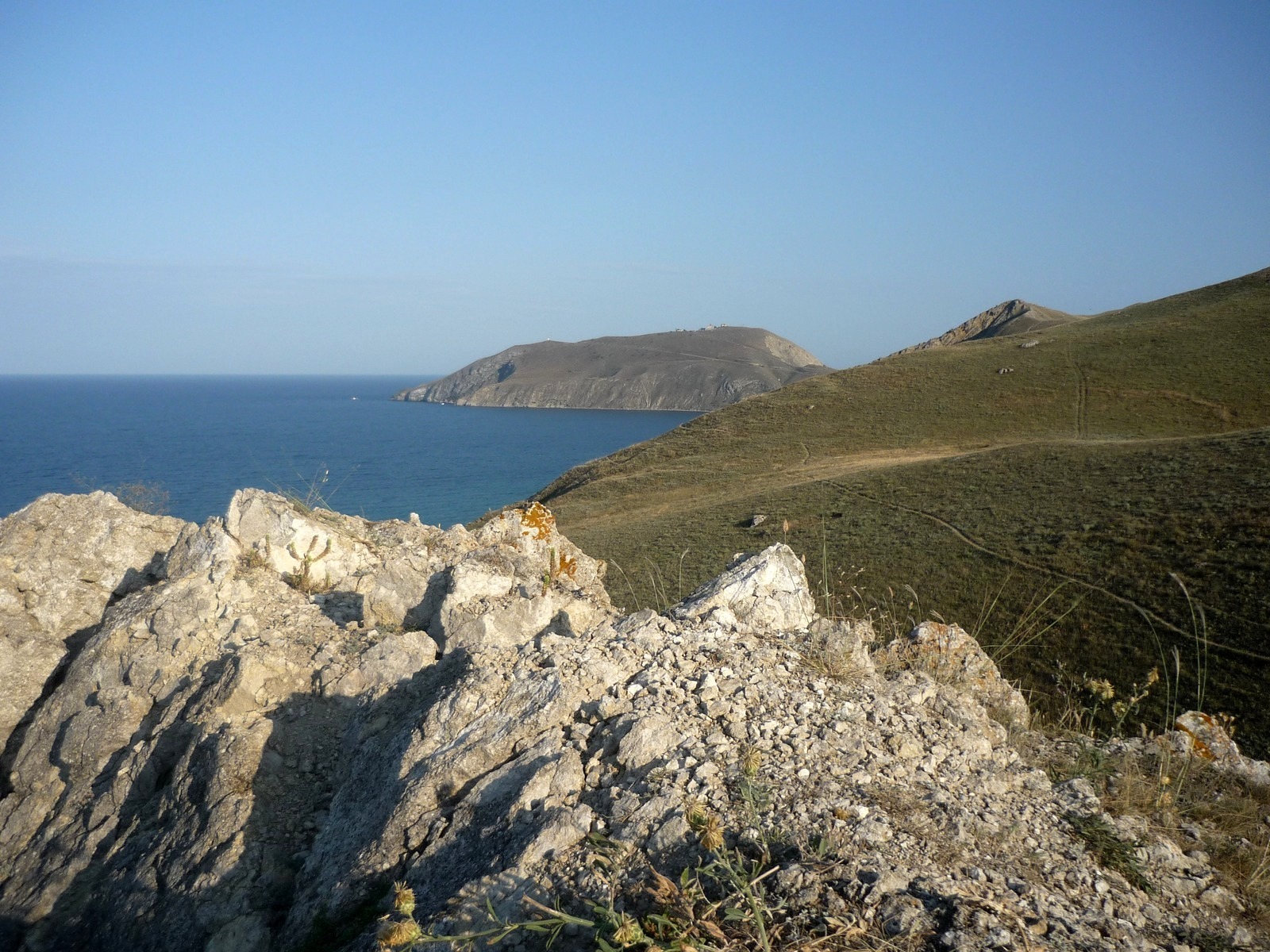 Збори 2010 1