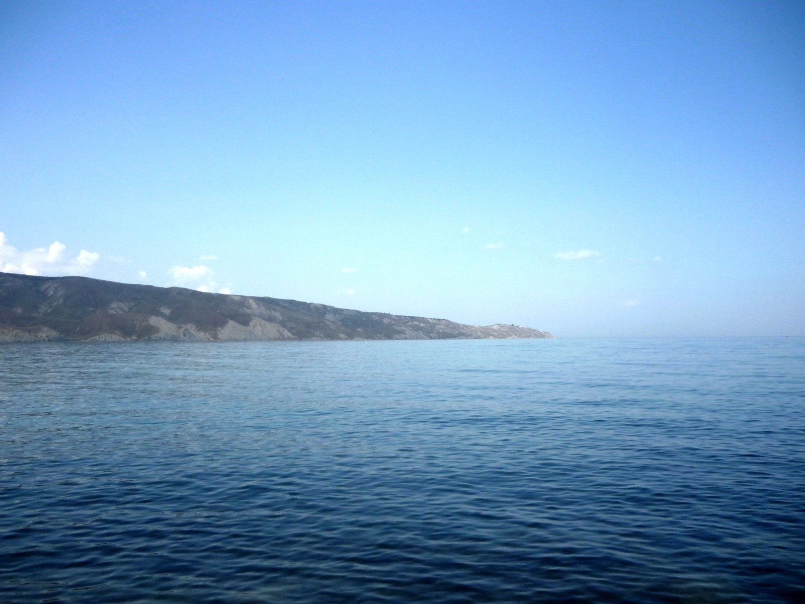 Збори 2010 2