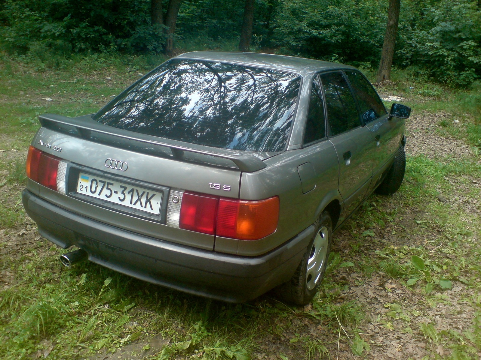 Тонування 5
