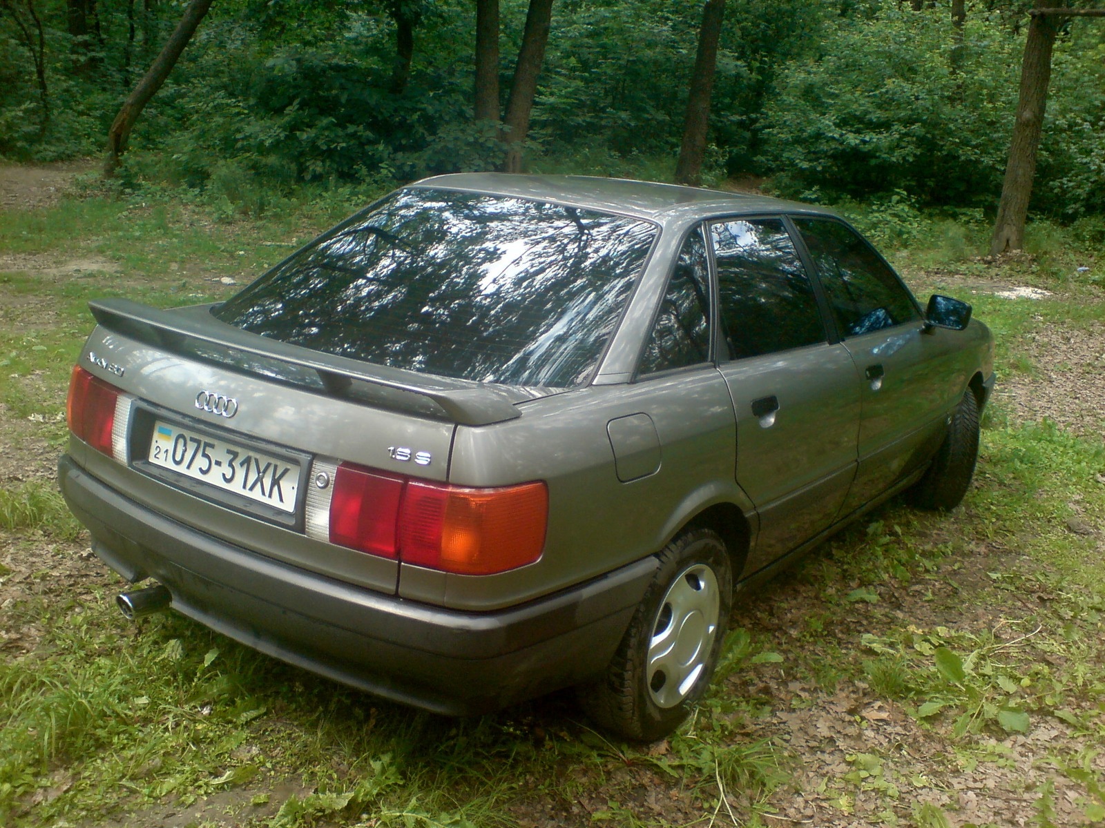 Тонування 1