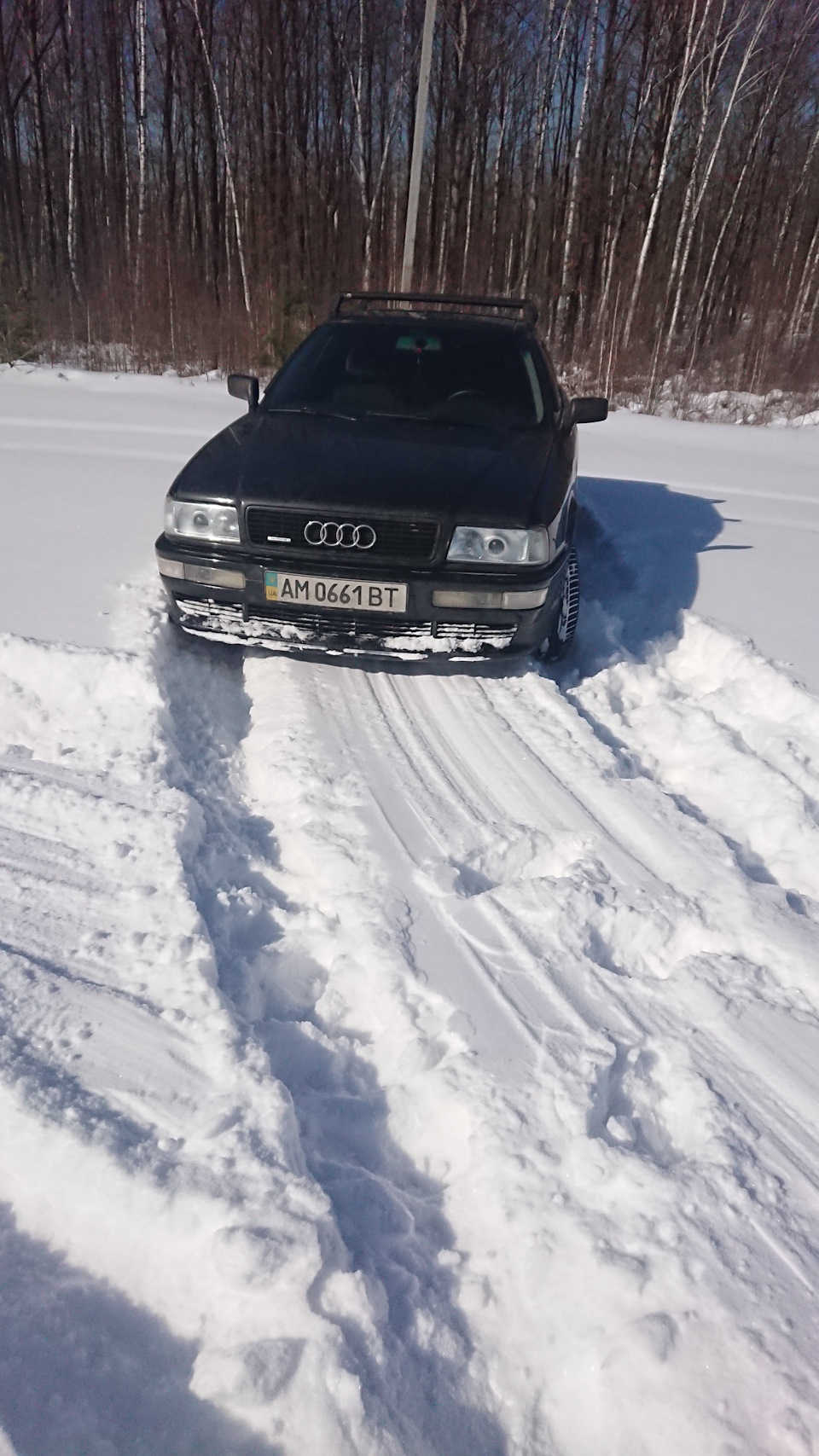 Сніг і кваттро 1