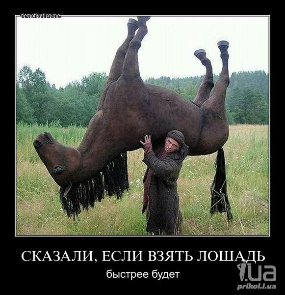 Як зробити ауді 80 м'якшим? 3