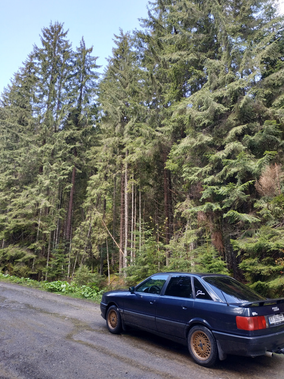 За традицією) знову поїздка в гори⛰️🏞️👍 1