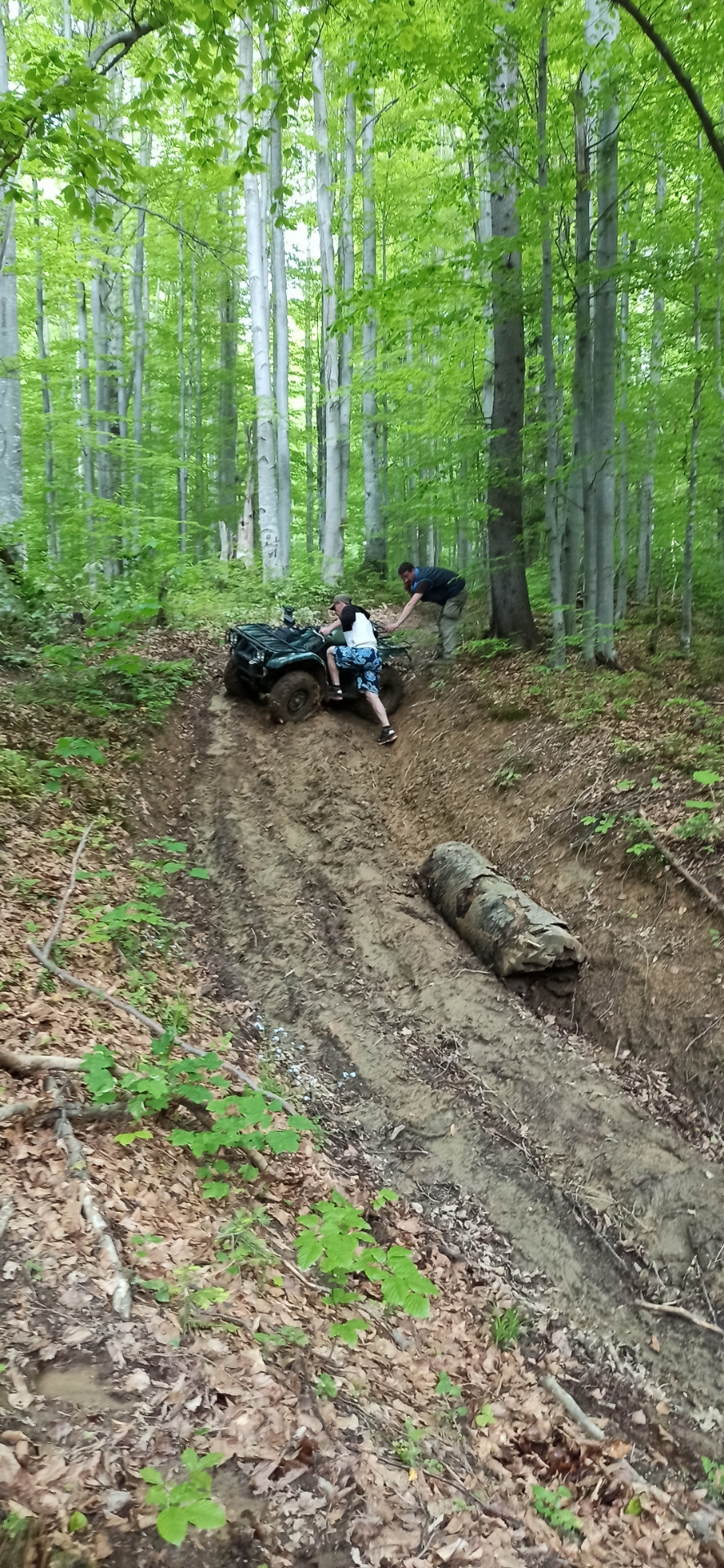 За традицією) знову поїздка в гори⛰️🏞️👍 5