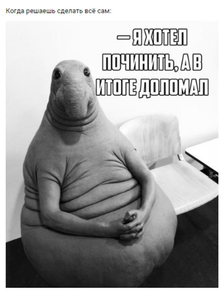 Ремінь безпеки або частина 2 5