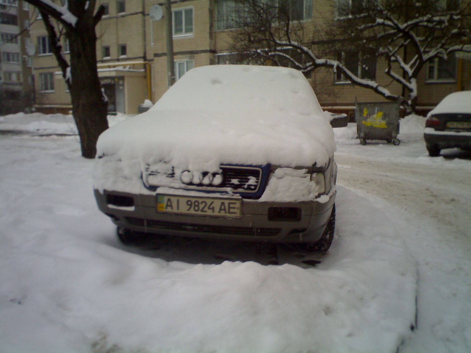 Моя Бегемоша і трохи зими) 5