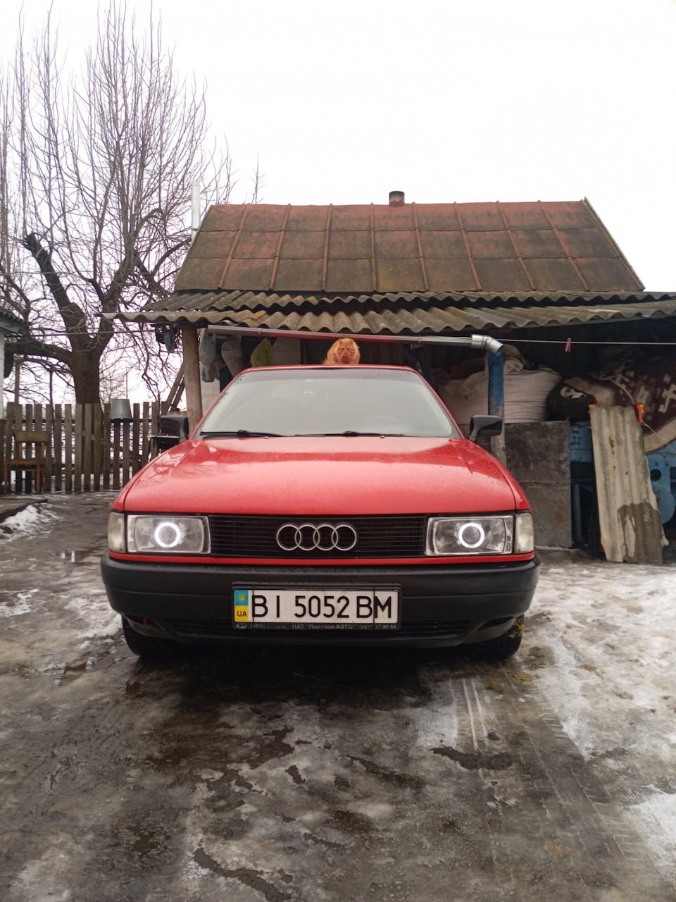 Рудий біс 1