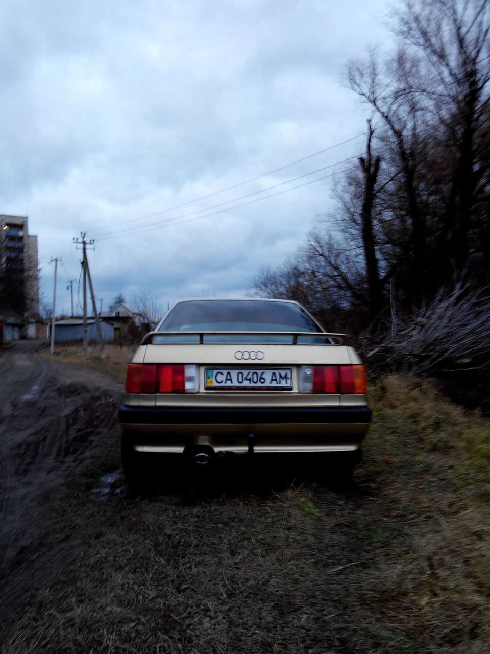 Трохи січневих фото 2