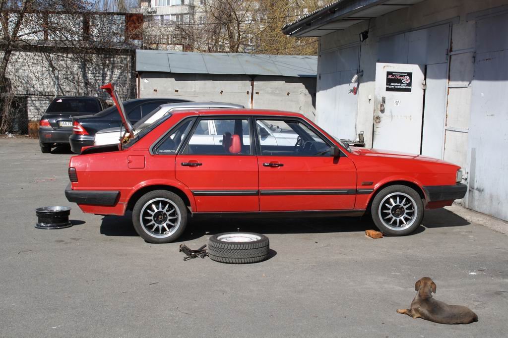 дилема?.. 3