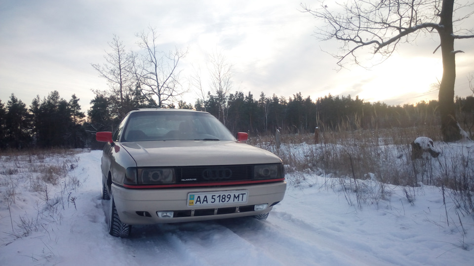 Quattro у своїй стихії… 2