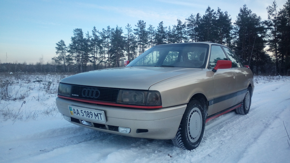 Quattro у своїй стихії… 1