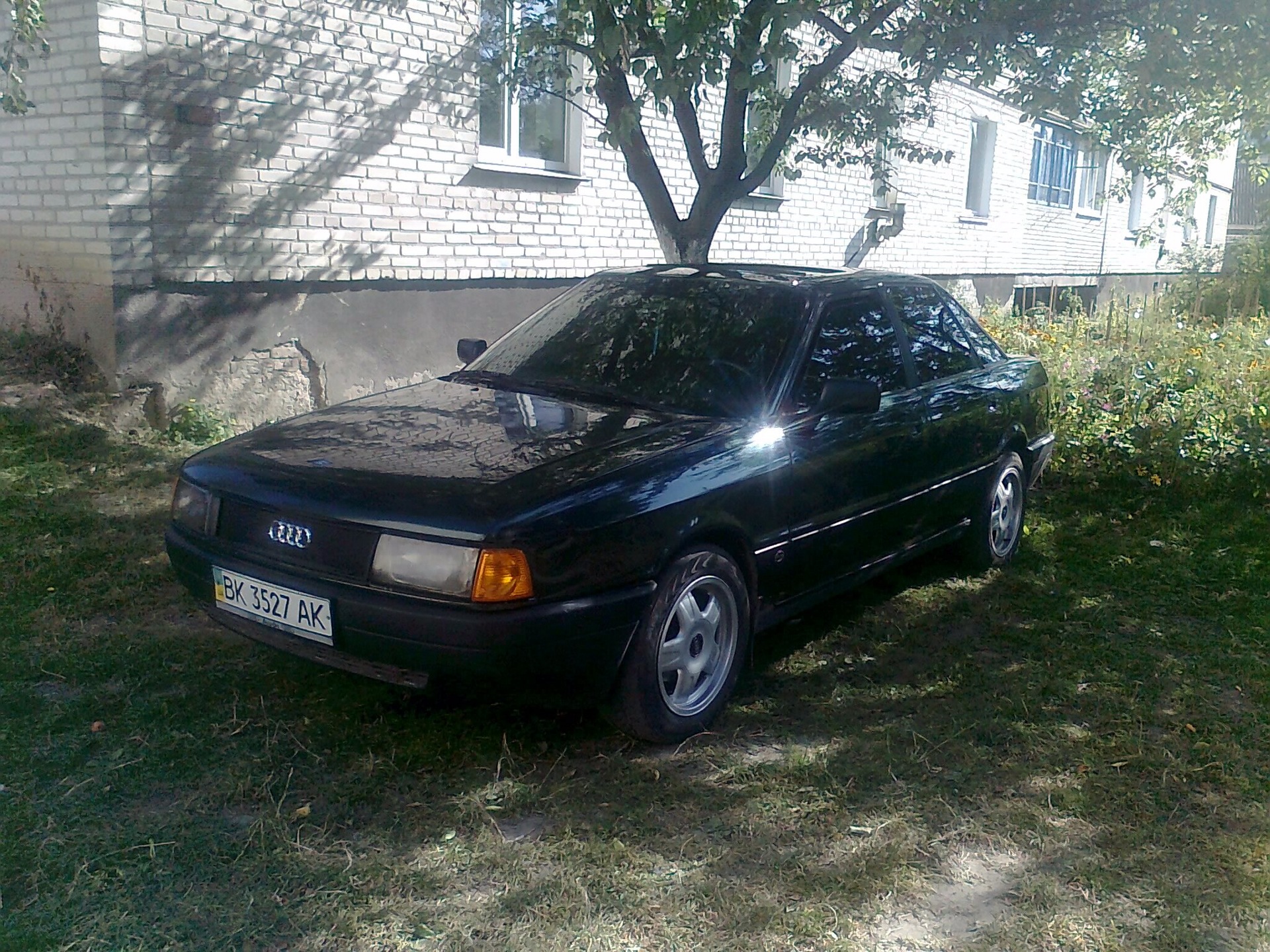 Трохи фотографій ... 1
