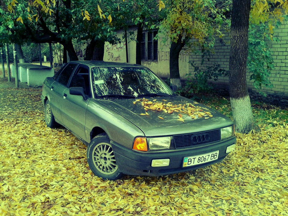 Золота осінь, трохи фото 4