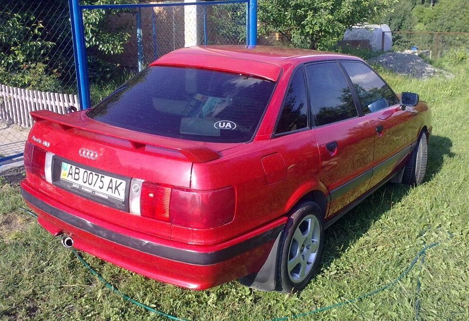 Дрібне фарбування. 2