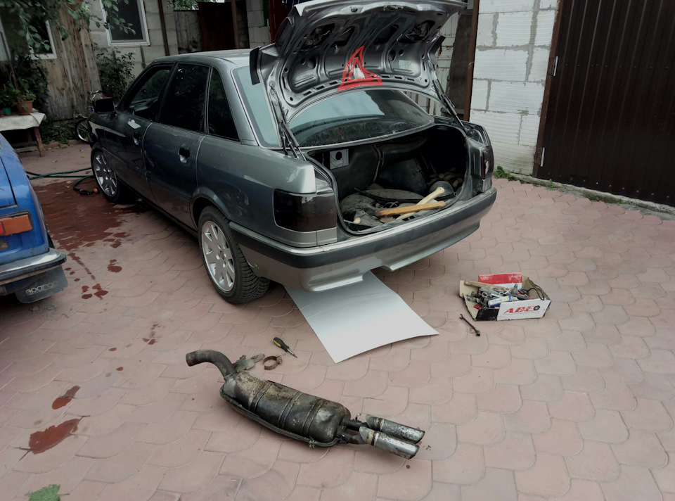 Ліс, гриби та відірваний глушник😱😂 1