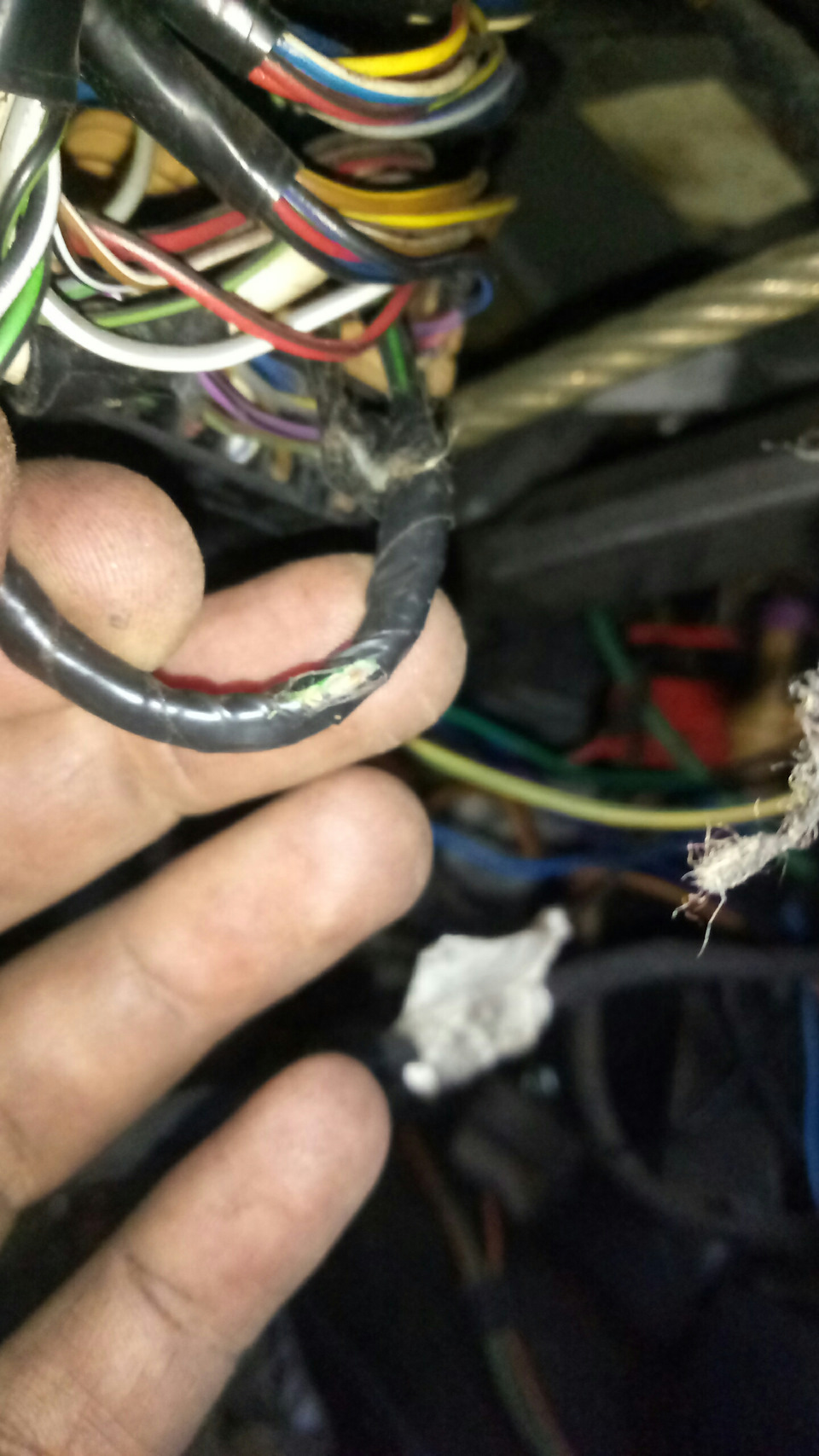 Знову лопнув патрубок і новий мешканець ауді😱 4