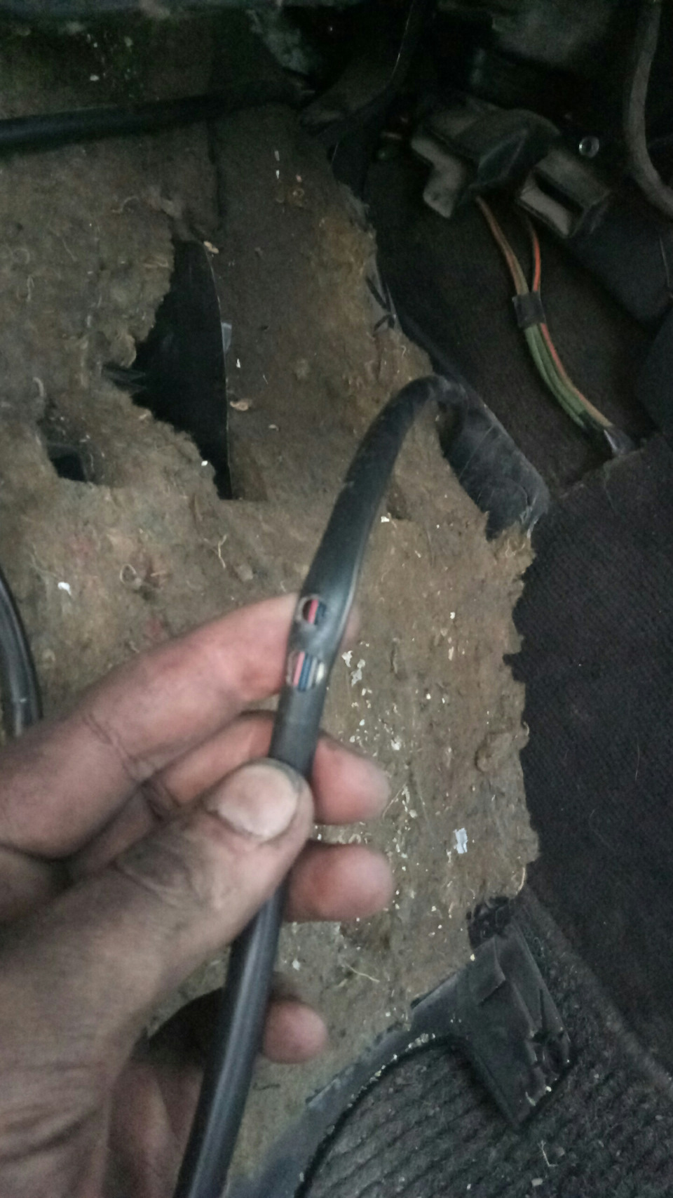 Знову лопнув патрубок і новий мешканець ауді😱 2
