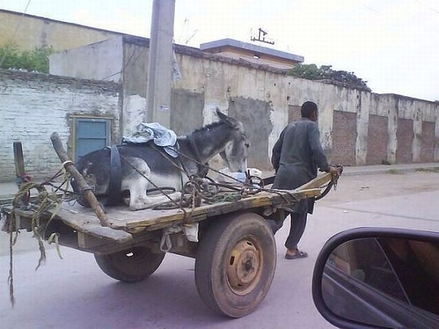 Вся праця моя в .ОПУ! 1