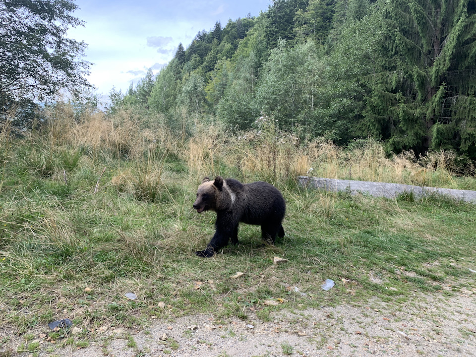 Все і відразу 2