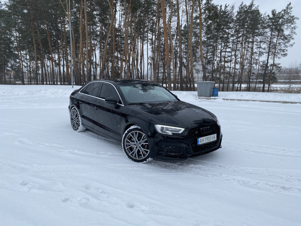 S-line головного мозку 2