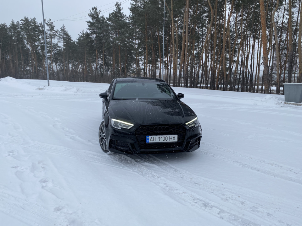 S-line головного мозку 3