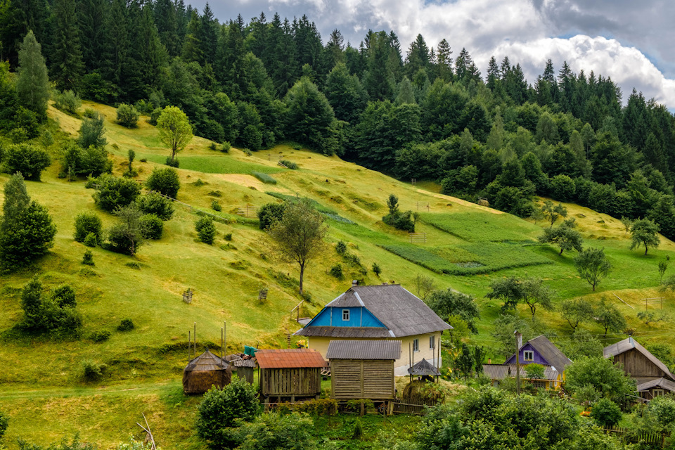 Подорож по заходу України 🚗 🌲 ⛰ 🌲 🏰 1