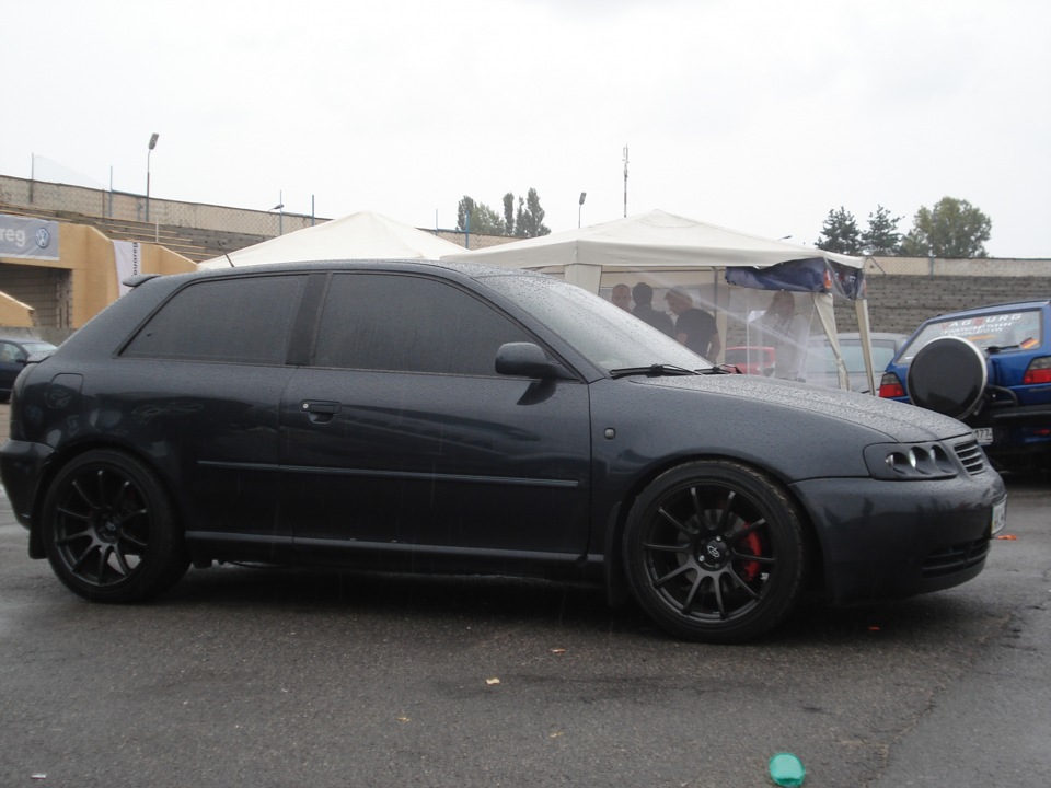 VW Fest 2010 4