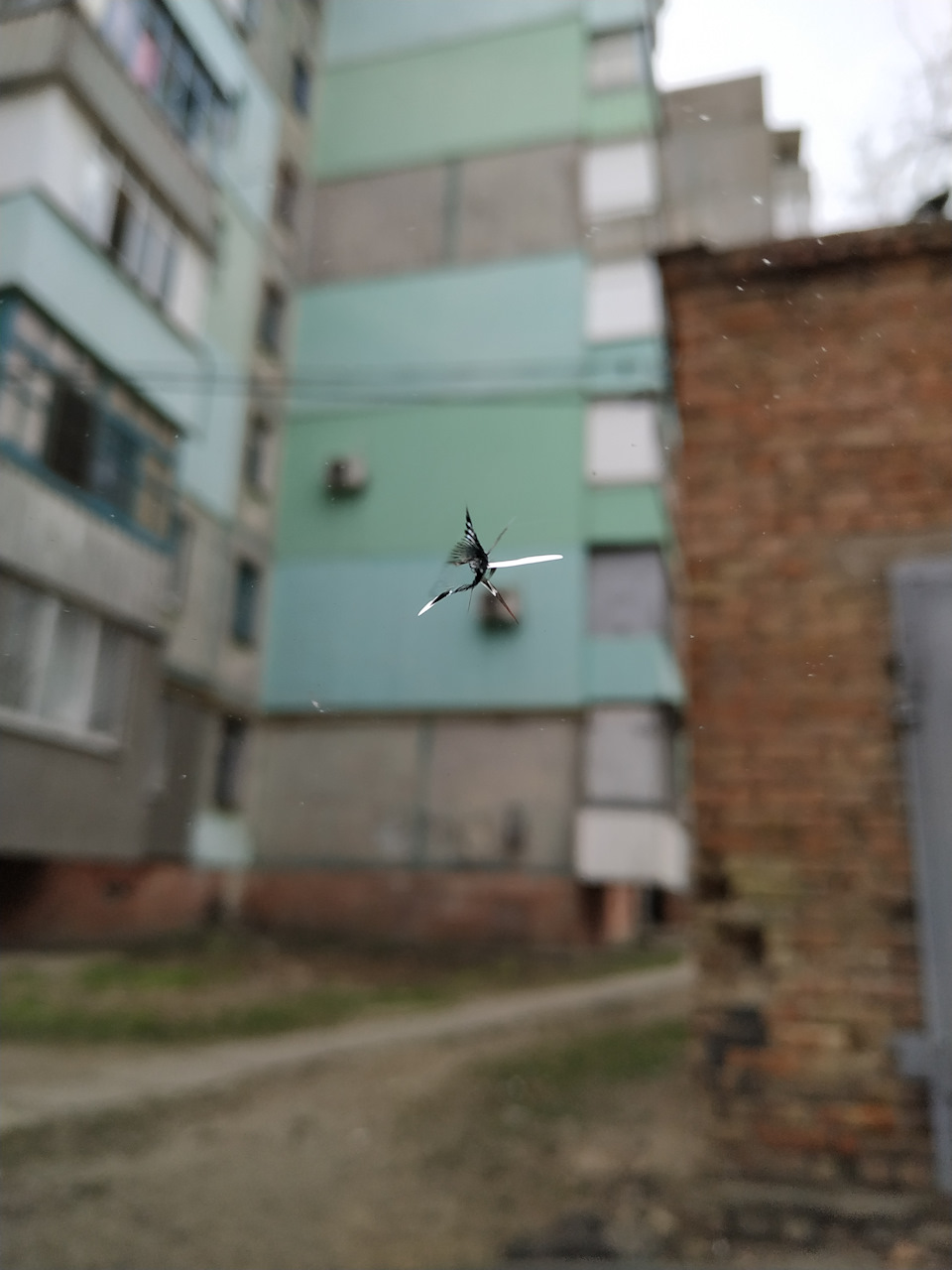 Звёздочка( 1