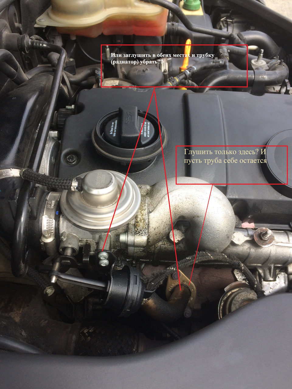 Як правильно заглушити EGR в 1.9 TDI AJM 1