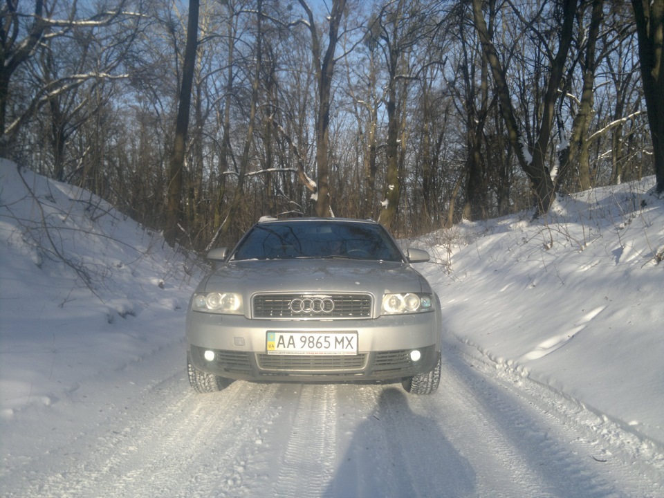 Підкорення території quattro моніками. 2