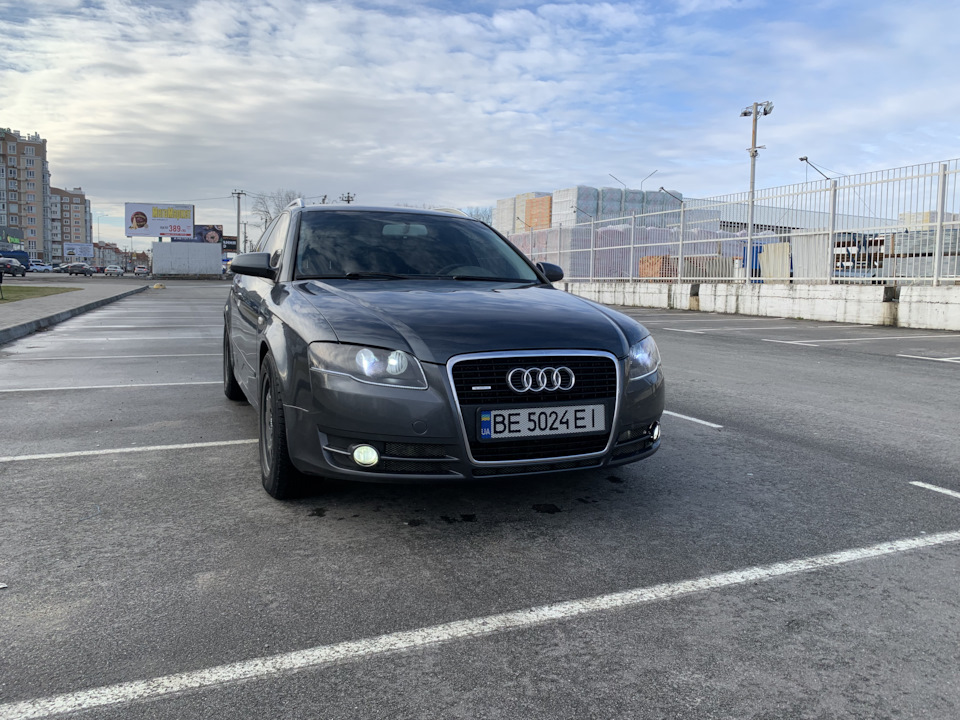 Продам ластівку 2