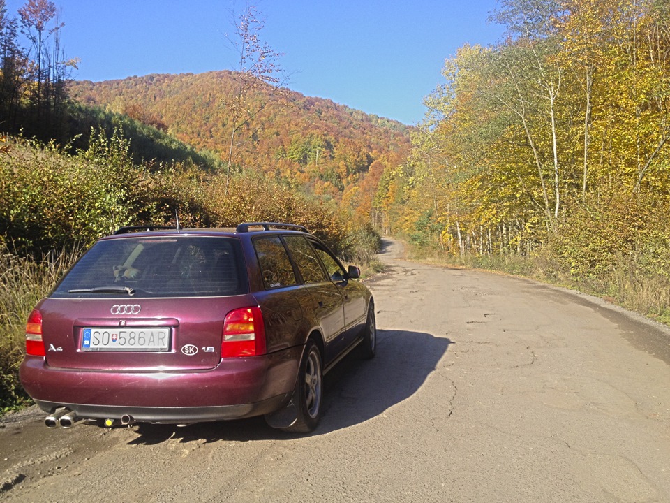 Красива осінь 5