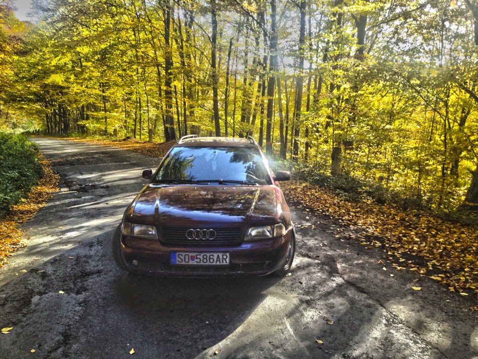Красива осінь 4