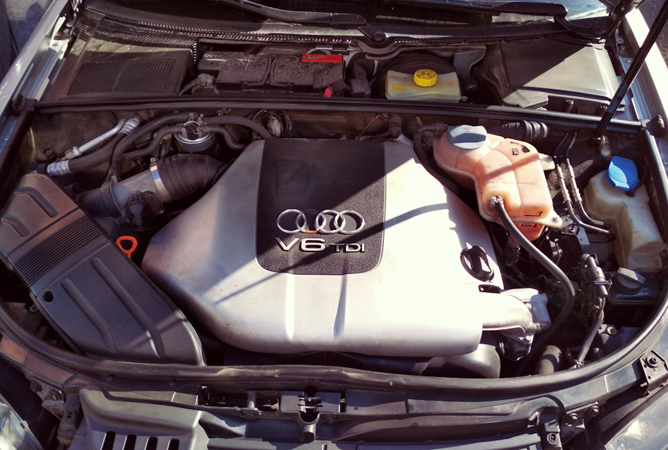 №2 Серце, кришка та питання (audi a4 b7) 1