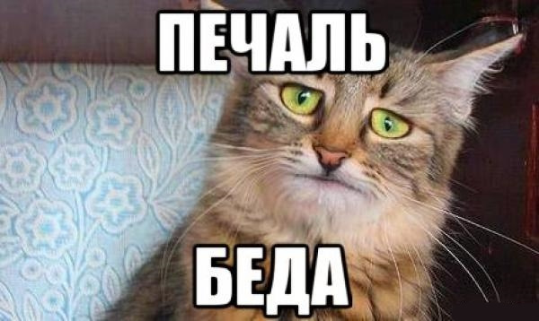 №55 ремонт приводу склопідйомника пасажира (audi a4b7) 1