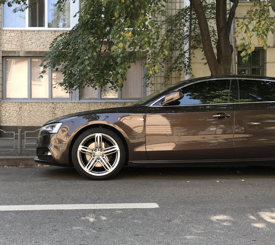 Як вам ці або порадьте тапки для Audi A4 b8 4