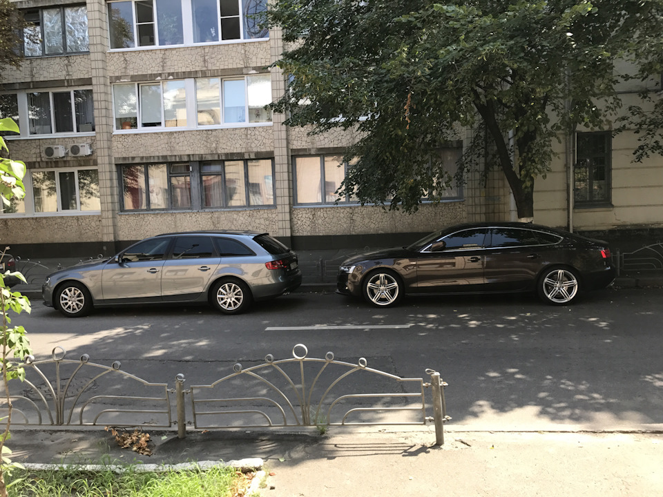 Як вам ці або порадьте тапки для Audi A4 b8 2