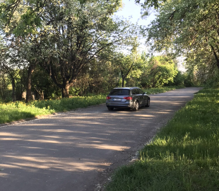 Трохи весняної зелені напередодні осені 4
