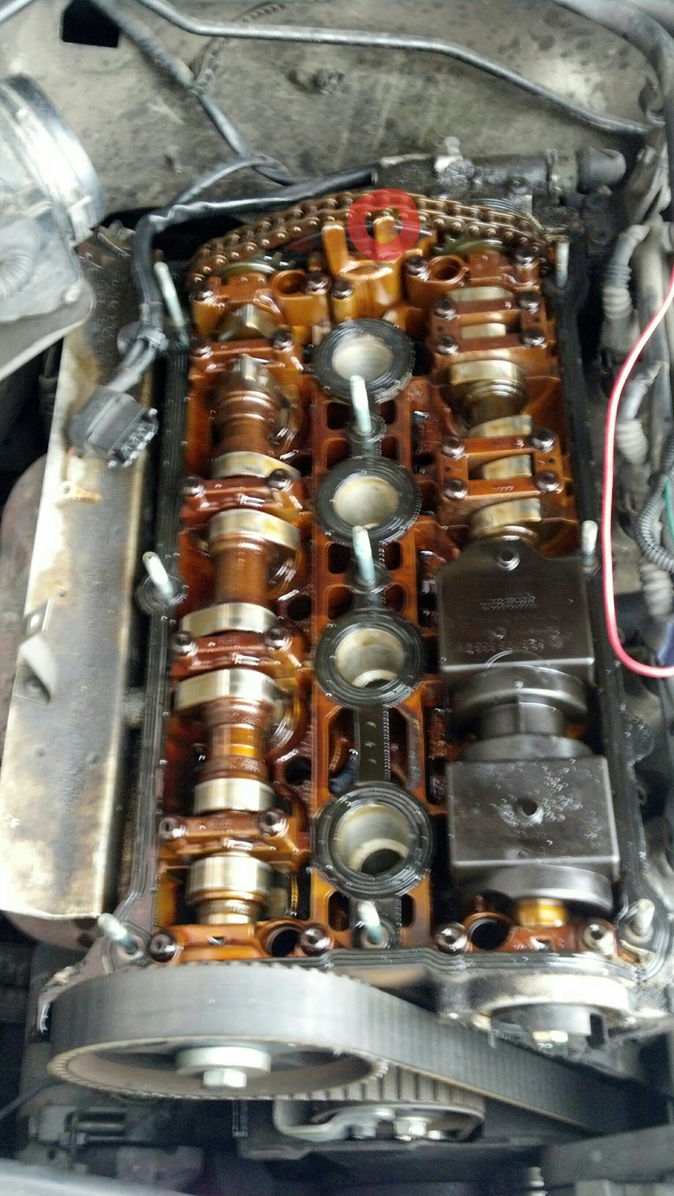 Hellp my 1