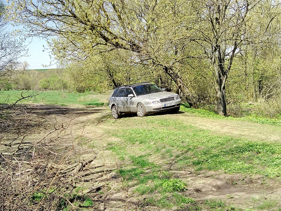 Міжнародний Суботник 4