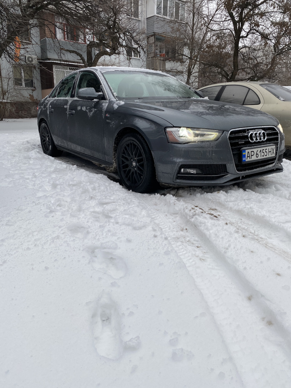 Территория Quattro 1