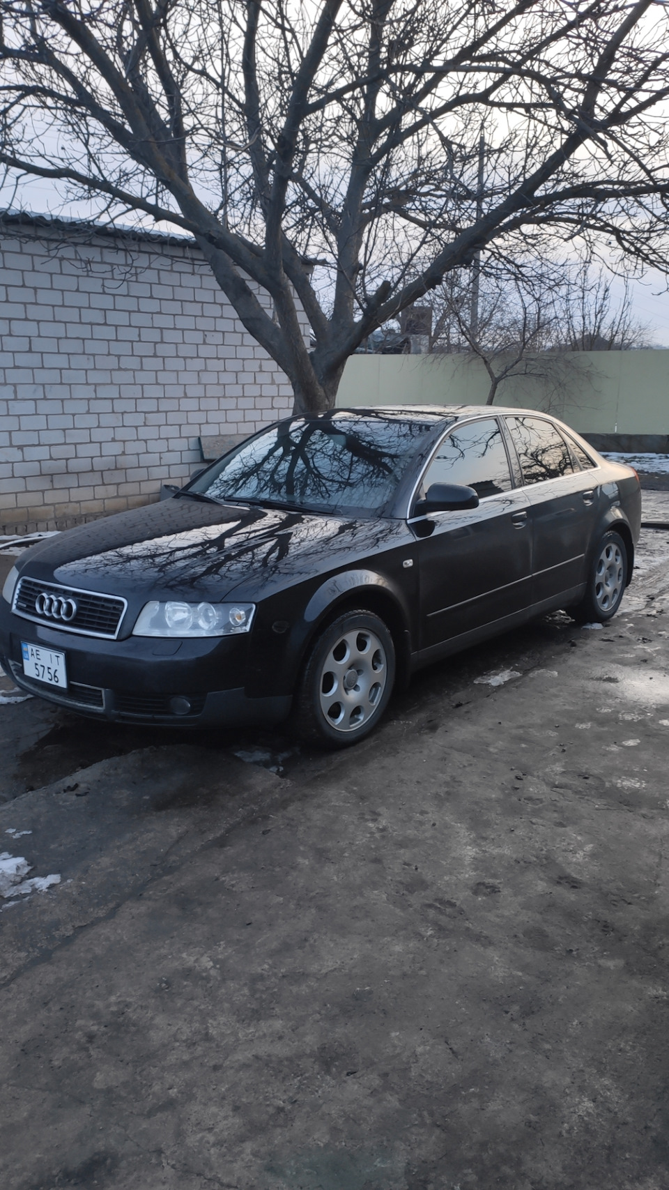 Подарунки аудюсі - R18 1