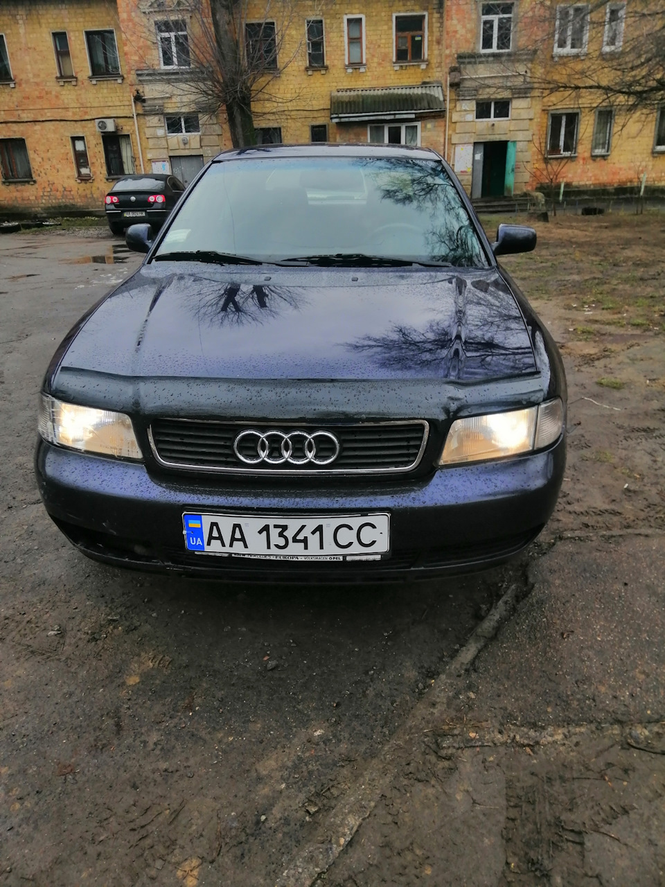 Габарити живі 2