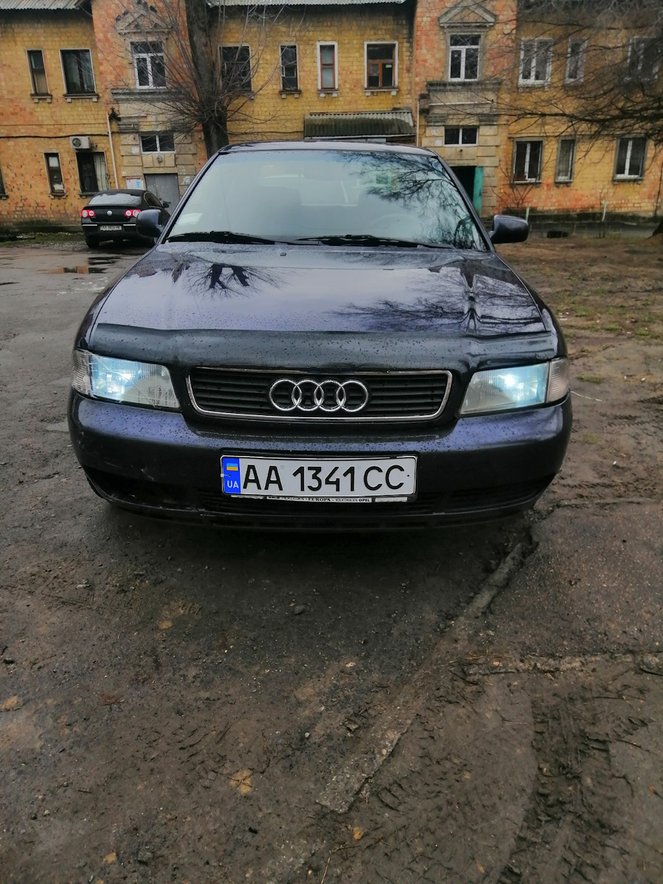 Габарити живі 1