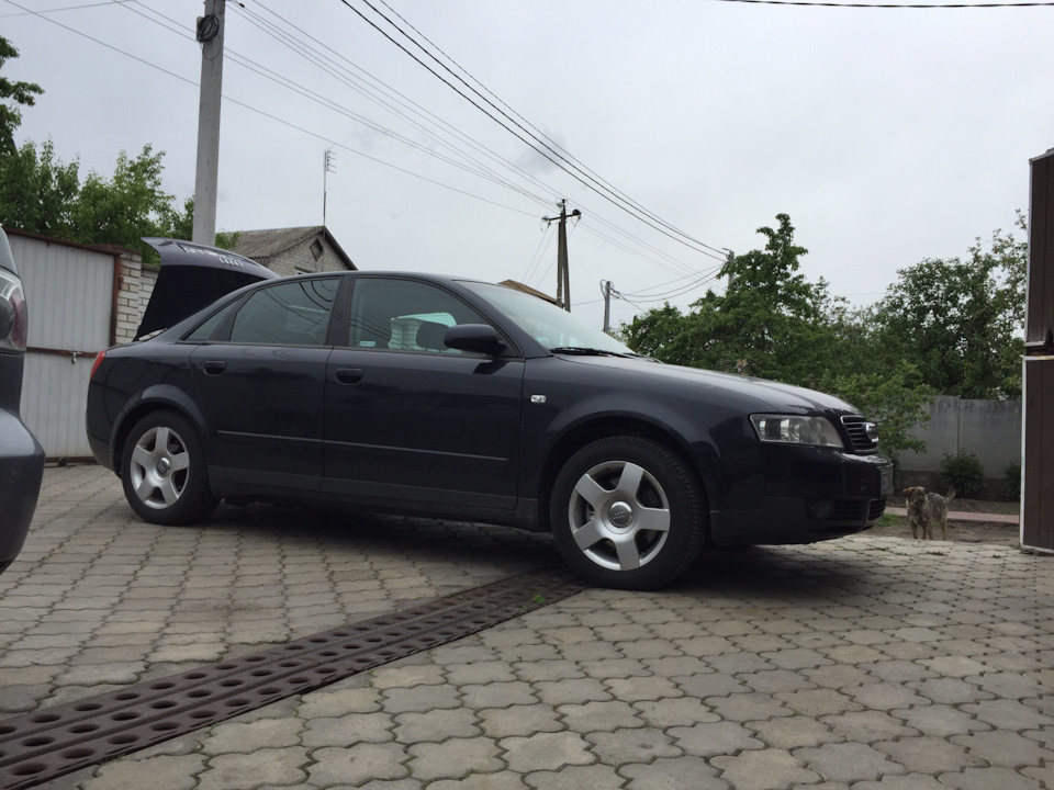 Fondmetal r18. Спонтанна покупка 3