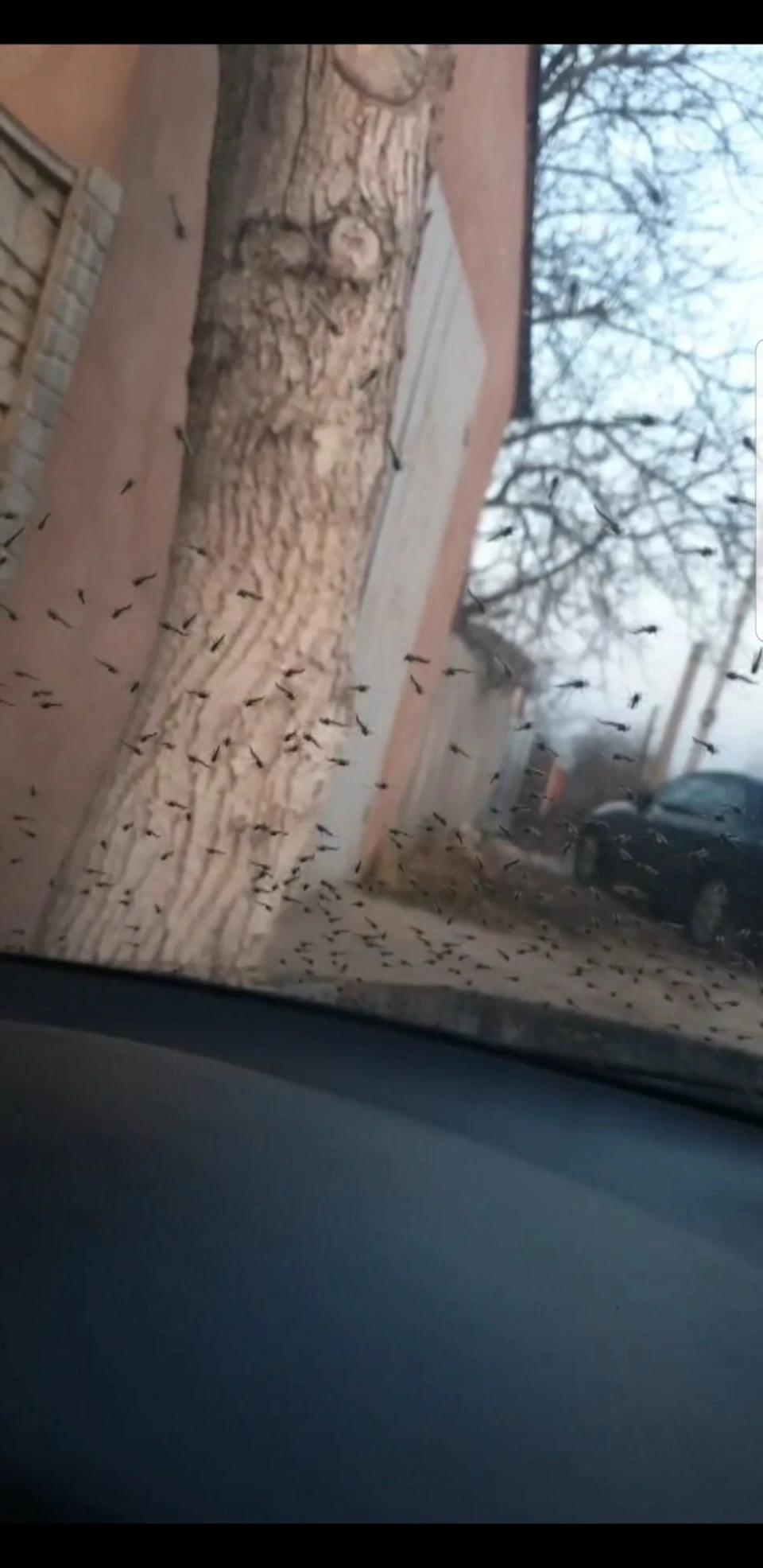 І смішно, і страшно